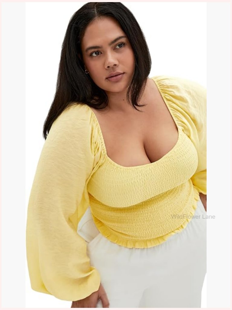 Plus Size Sheer Sleeve Shirred Top With Frilled Hem
